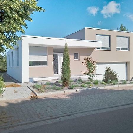 Zimmer In Zoschen Екстер'єр фото